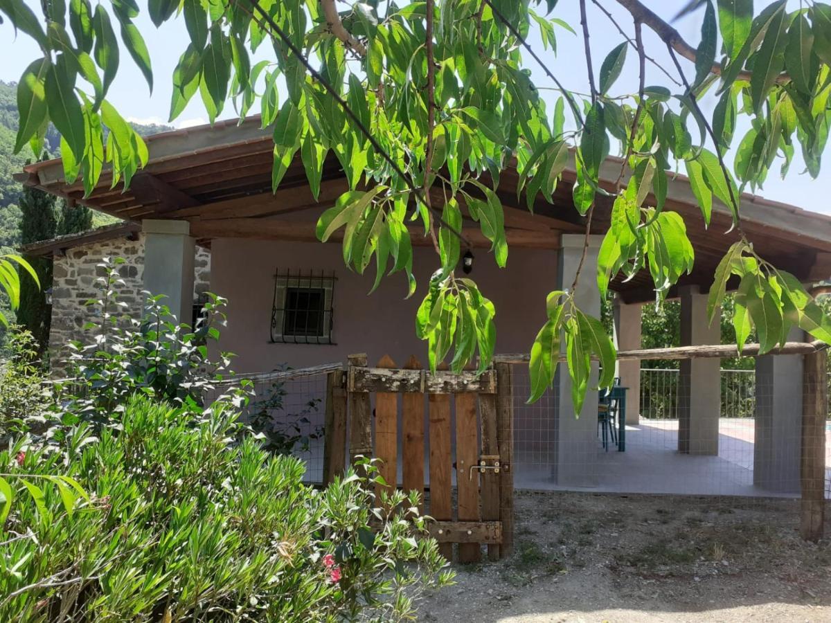 Casina Di Vicchio Apartment Dicomano Exterior photo