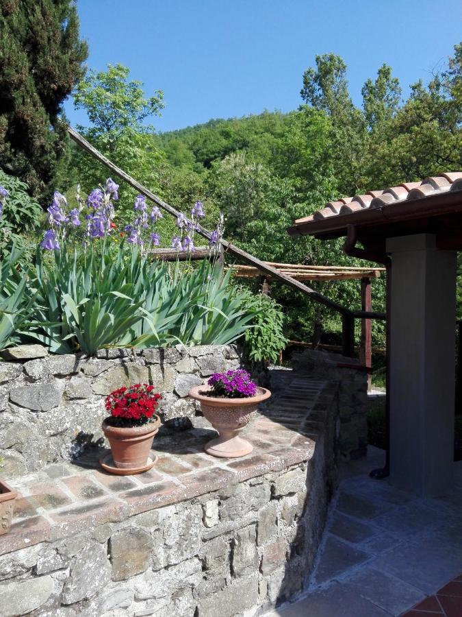 Casina Di Vicchio Apartment Dicomano Exterior photo